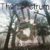 The Spectrum Part 1